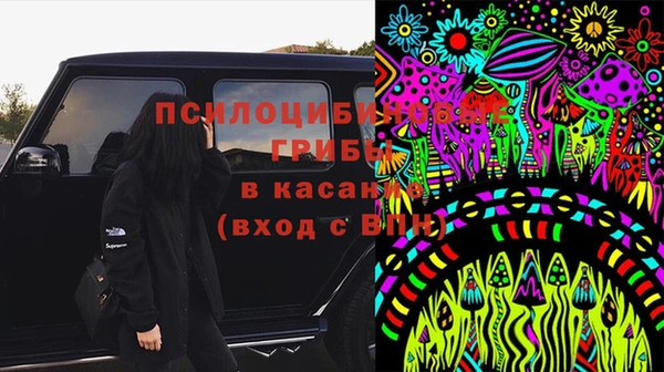 прущая мука Павловск