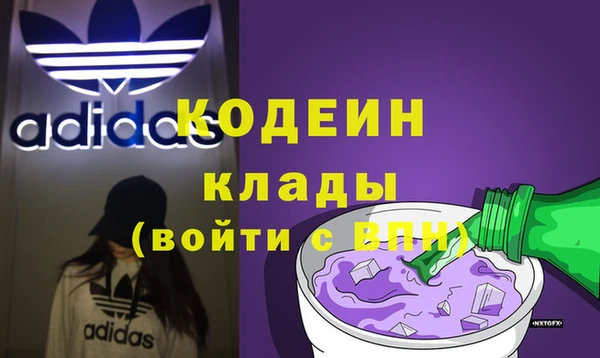 дурь Няндома