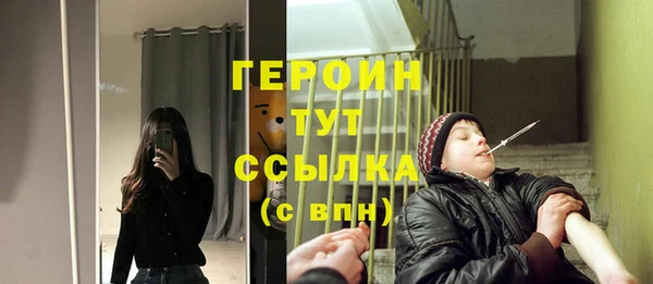 дурь Няндома
