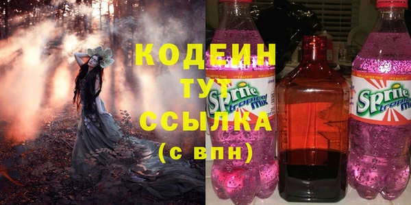 дурь Няндома