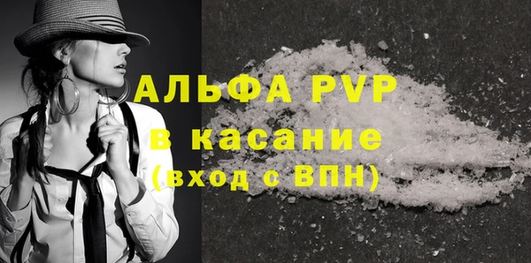 дурь Няндома