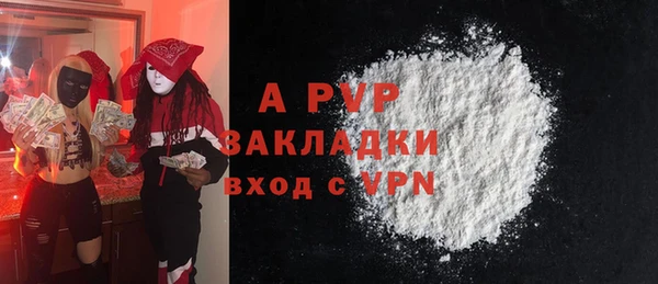 дурь Няндома