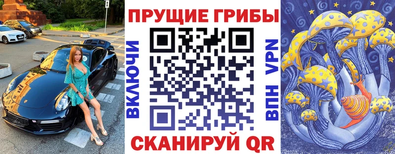 это какой сайт  закладка  Тында  Псилоцибиновые грибы Cubensis  МЕГА вход 