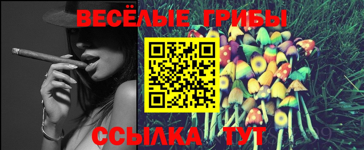 Галлюциногенные грибы GOLDEN TEACHER  Псилоцибиновые грибы прущие грибы  Тында  Вход с VPN 